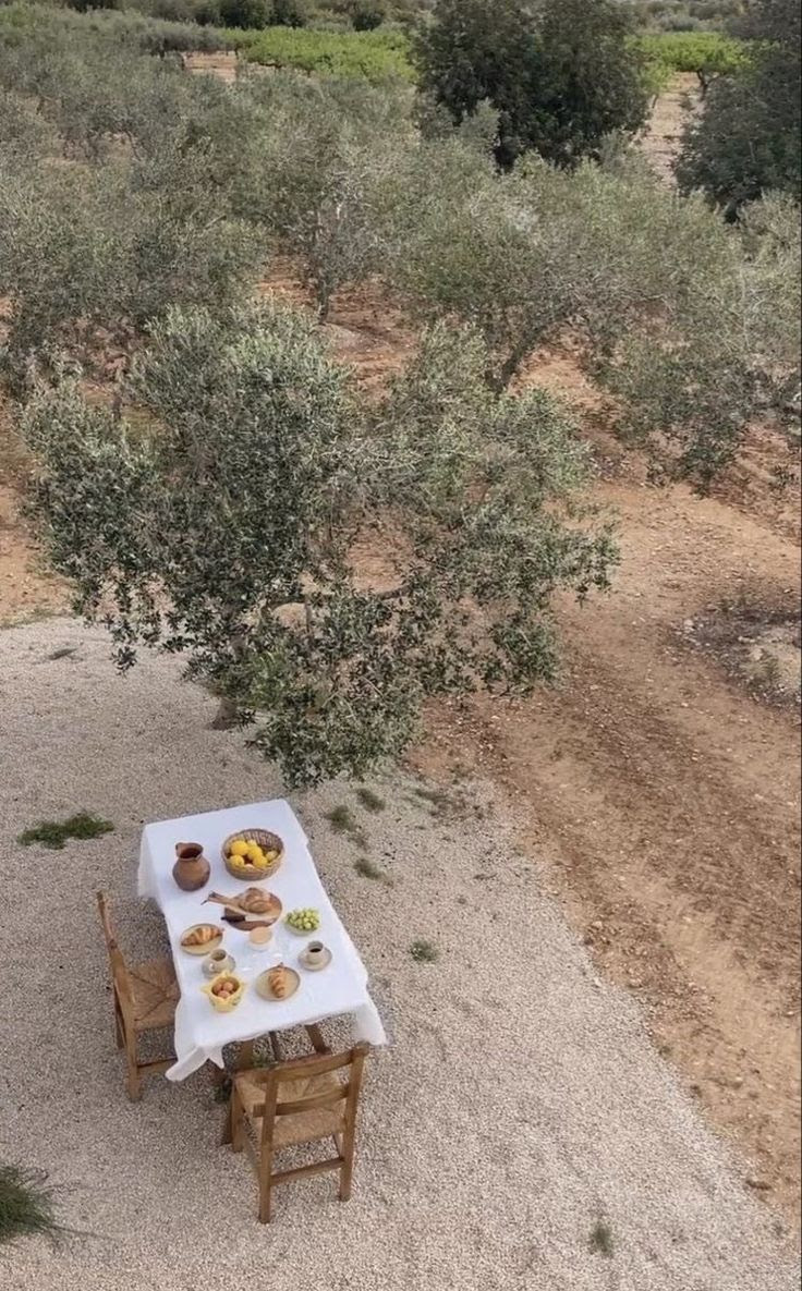 le régime top santé